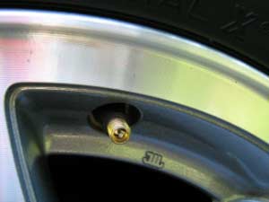 Car Tire Air Pin